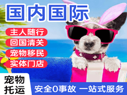 三沙永兴航空快运国际宠物托运 【国